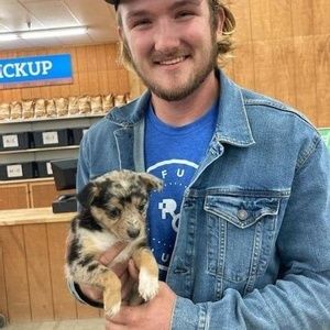 Meet your Posher, Hunter